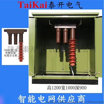 泰開(kāi)電氣供應(yīng)35KV電纜分支箱一進(jìn)一出帶避雷器DFW-40.5