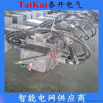 泰開電氣供應(yīng)FZW28-12帶SOG帶進出線電纜分界負(fù)荷開關(guān)