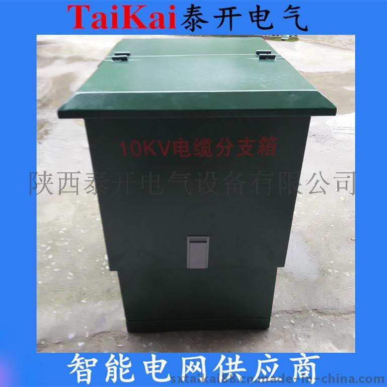 泰開(kāi)電氣DFW帶避雷器一進(jìn)一出一進(jìn)兩出一進(jìn)三出一進(jìn)四出一進(jìn)五出歐式電纜分支箱